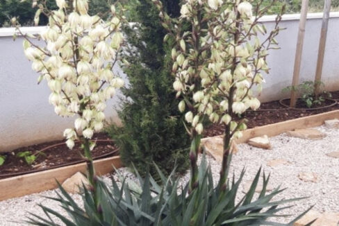 Neues modernes Haus auf der Insel Solta