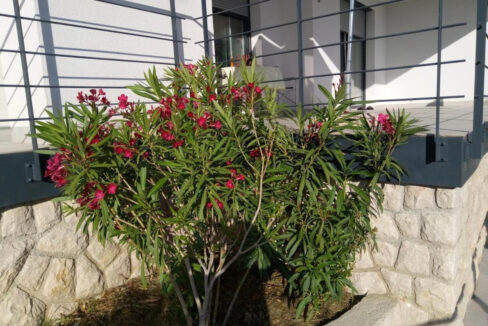 Erstaunliche Villa direkt am Meer auf der Insel Rab