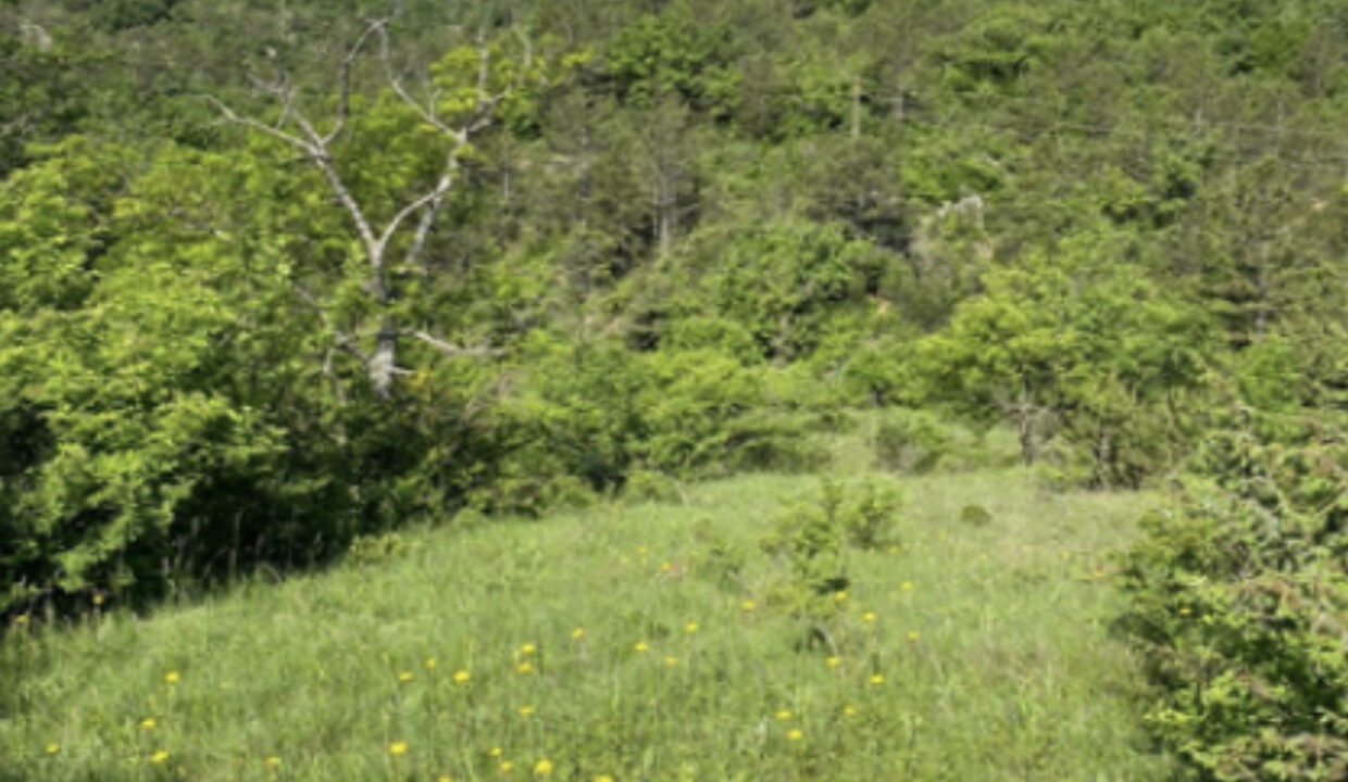 Haus, Sechs Hektar Land Drniš