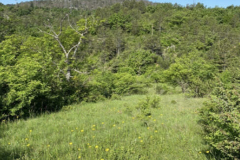 Haus, Sechs Hektar Land Drniš