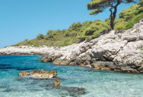 Grundstück am Meer - Insel Sipan, Dubrovnik - 115539m2